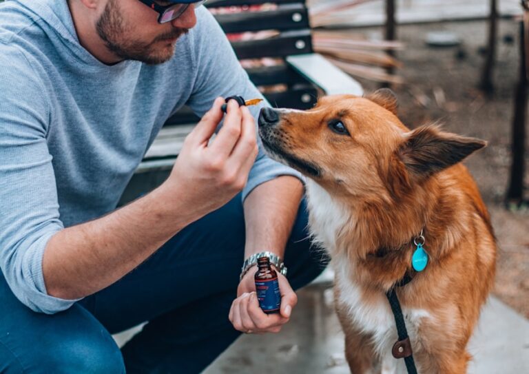Signs of a Healthy Pet